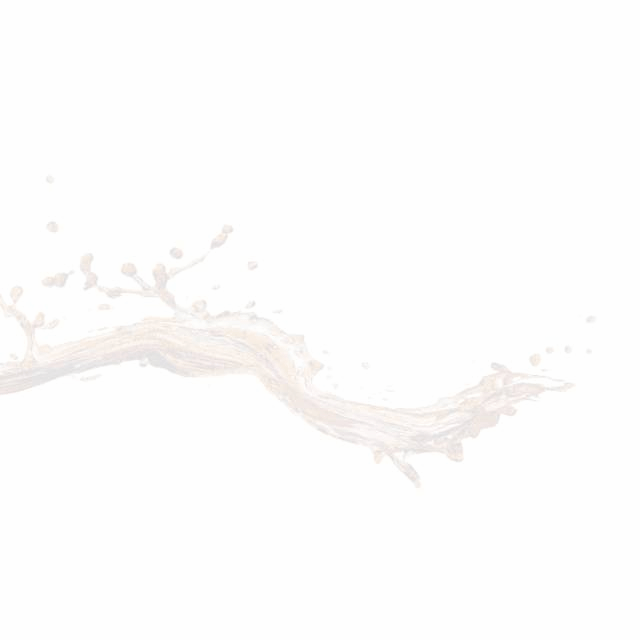 animation.gif