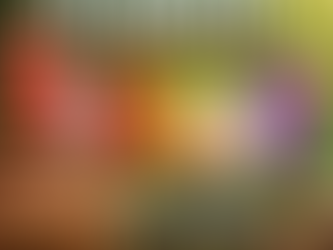 Growing Spectacular Gladiolus: A Complete Care and Planting Guide