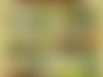 Stonecrop Sedum - How can you plant your own Sedum plant?