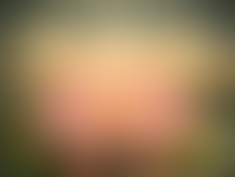 Unfolding Purity: A Guide to the Symbolism of the Lotus