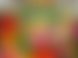 A Complete Guide to Mexican Flowers: 10 Stunning Blooms and Their Meanings