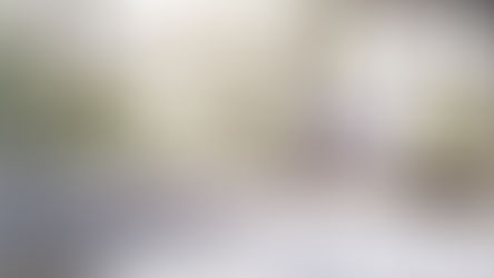 PrintReleaf Announces New Tech Integration with Printerpoint, Advancing Sustainability Options for MPS Wide-Format Printing