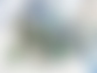 How Much Does Interior Design Cost? A Clear Guide for Homeowners in West Sussex