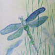 adh2 Dragonfly.jpeg