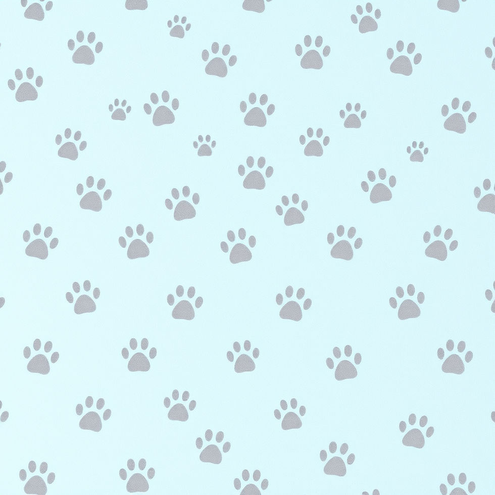 Light blue background with grey paw prints.jpg