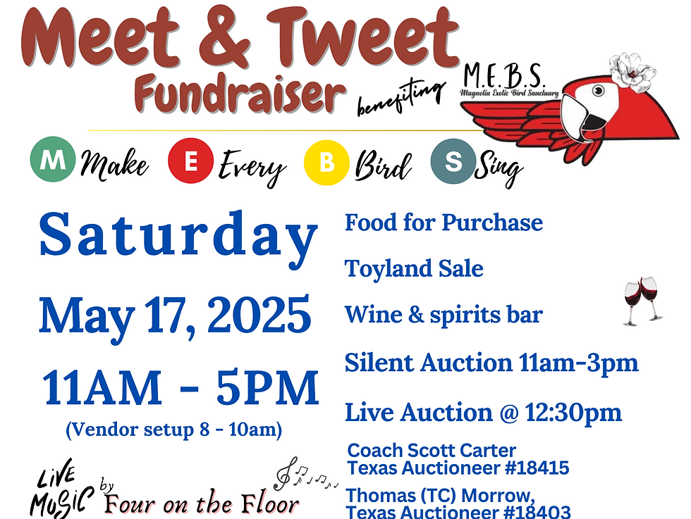 Meet & Tweet Fundraiser