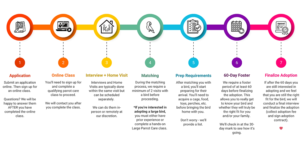 Steps in Adoption Process _updated.png