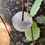 Thumbnail: Kapkap Miniature Breastplate  |  Solomon Ware