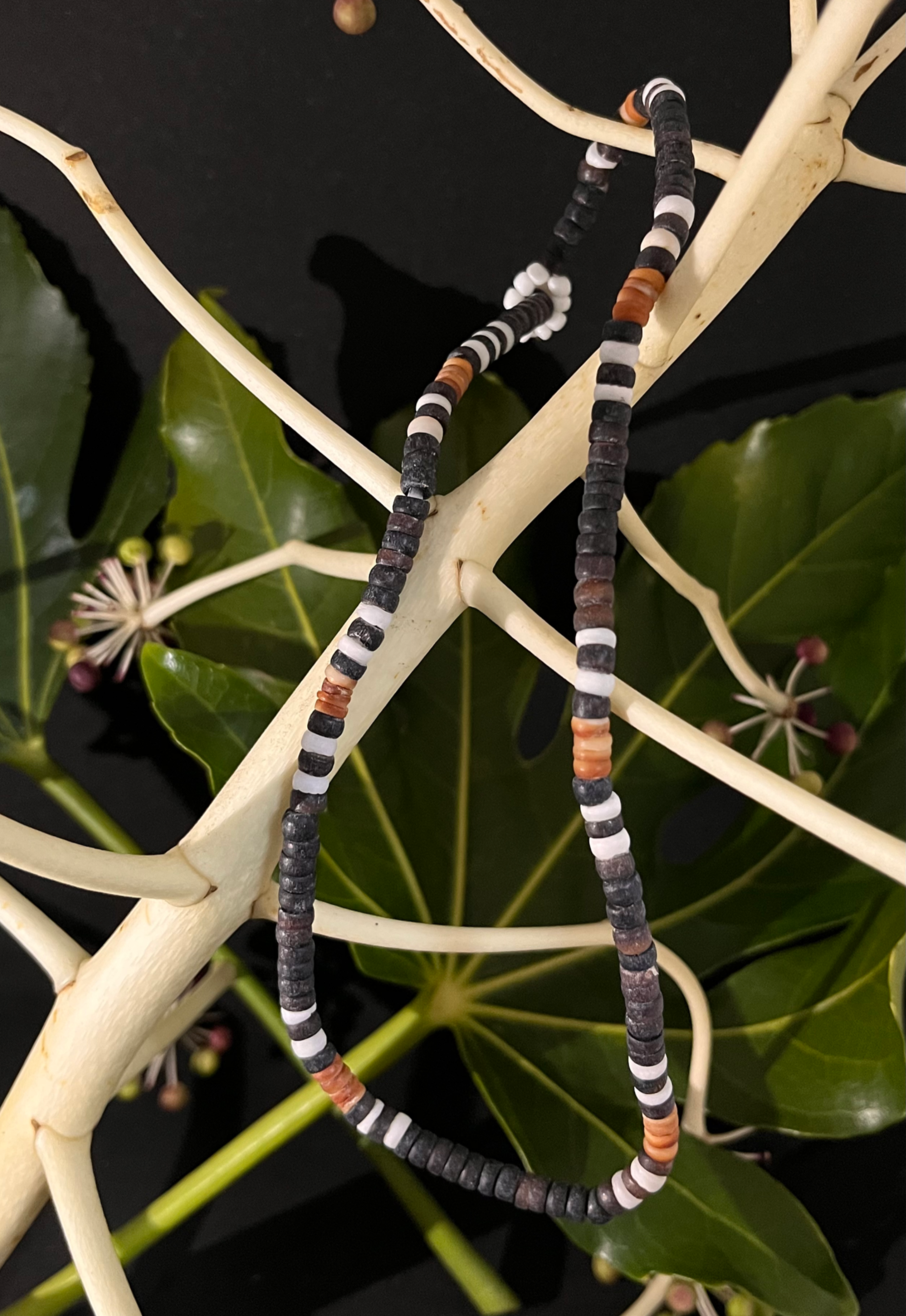 Solomon Islands Shell Money Necklace