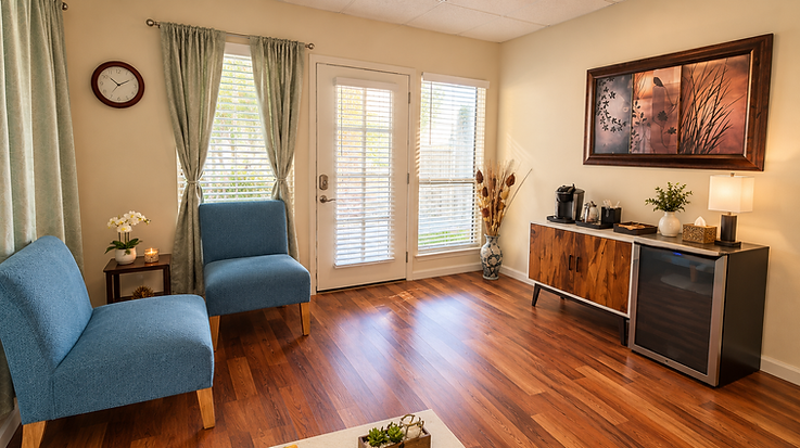 Cozy Blue-Chair Waiting Room