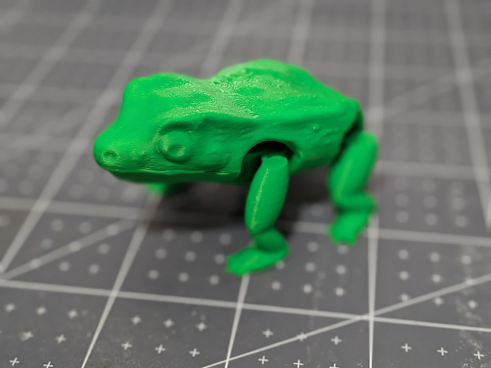 Thumbnail: Jumping Frog