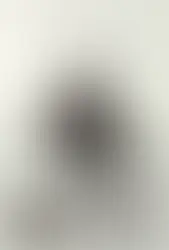 第36回 バスケタリー展　9/25(木)〜9/29(月)