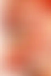 まえだゆき Felt+α5 Let's enjoy　11/4(月・休)〜11/10(日)