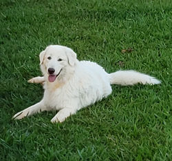 20200330_174053_edited