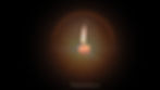Inner Flame_Pleiadian Family.jpg