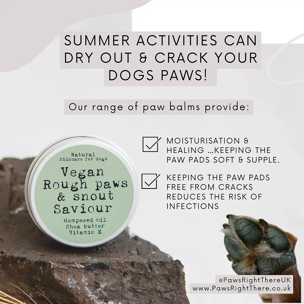 protect & nourish your dog's nose & paws with this natural balm