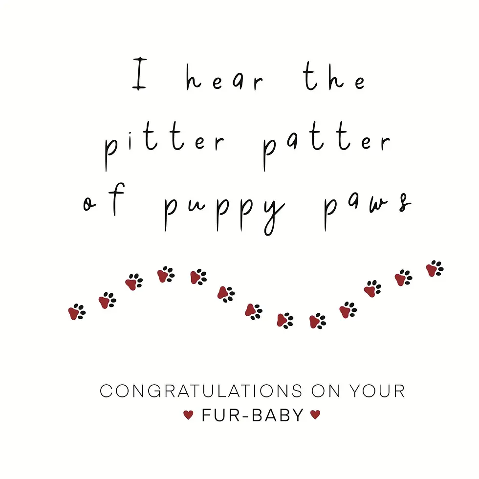 know someone who has a new puppy? card to celebrate the arrival of a new puppy