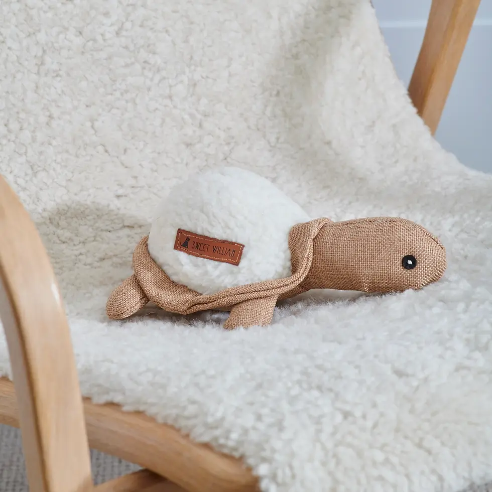 Dog Toy - Horatio the Turtle