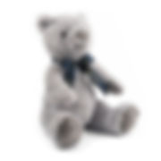 grey bear.jpg