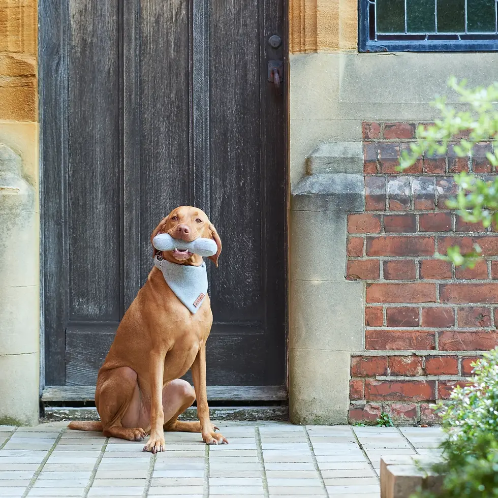 Thumbnail: TWEEDBONE DOG TOY