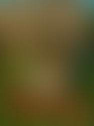 Dicas de Leitura - Outubro/2025