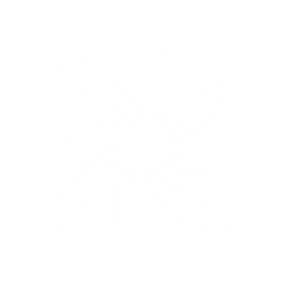logo da ELEV.ar