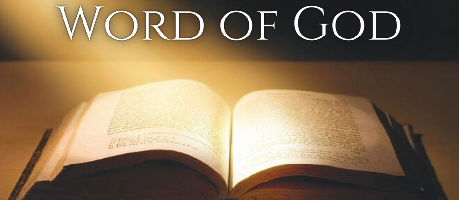 Saturday, January 15