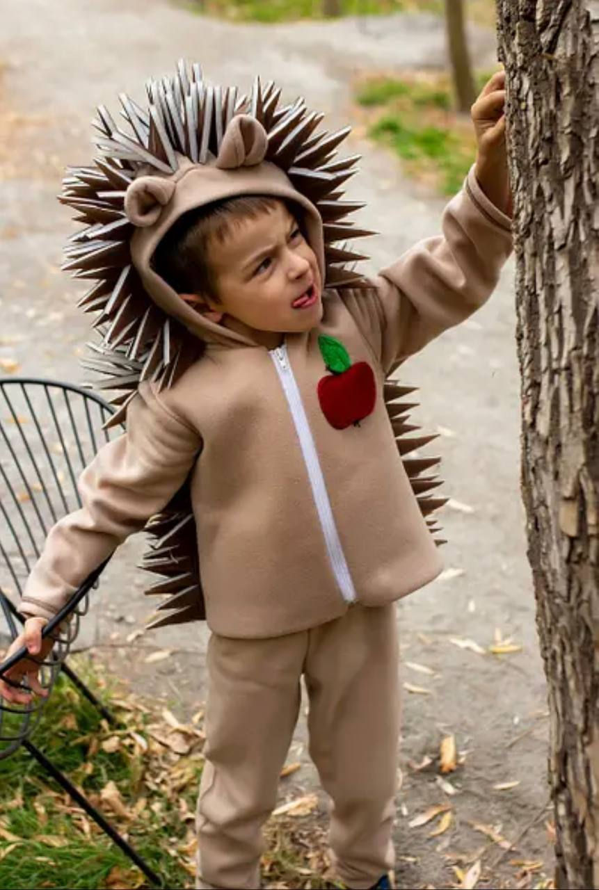 Миниатюра: Їжачок з колючками коричневий