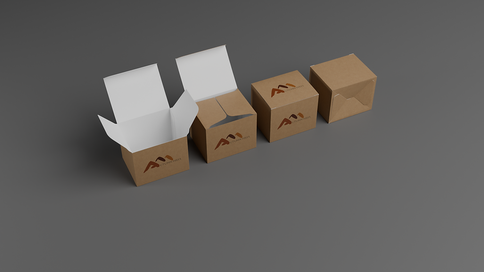 Tuck Top Snap Lock Bottom Box