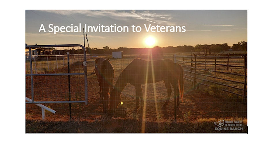 Veterans Day Gathering at the Humane Society of North Texas Equine Ranch