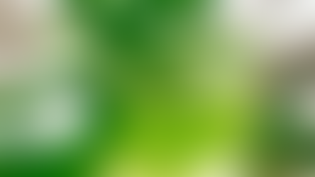 "From Plant to Potion: A Step-by-Step Guide to Making Your Own Aloe Vera Gel"