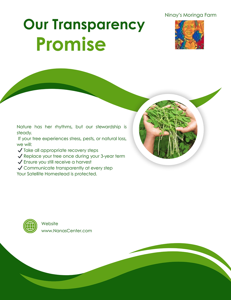 Thumbnail: Gift Someone You Love a Satellite Moringa Homestead