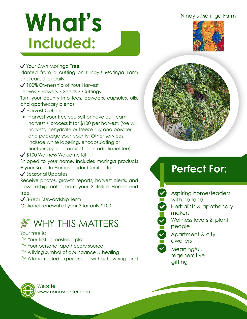 Thumbnail: Gift Someone You Love a Satellite Moringa Homestead