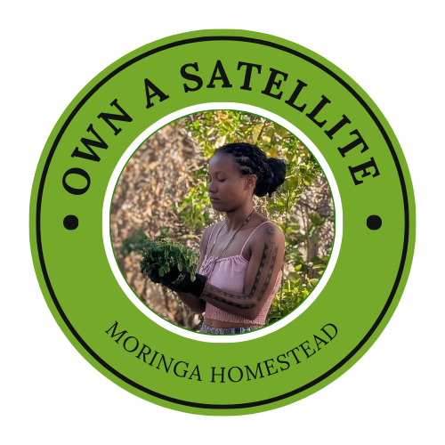 Satellite Moringa Homestead