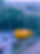 169455089_145764100810294_6228047719228218078_n.jpg