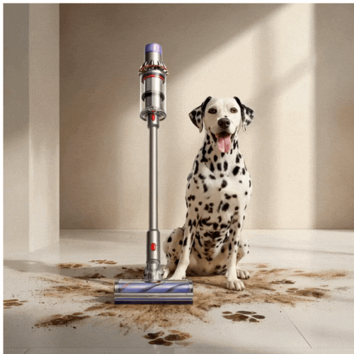 Dyson