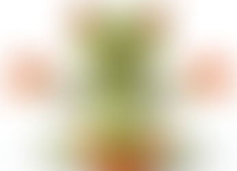 La méditation guidée : un voyage vers la clarté mentale et la sérénité intérieure