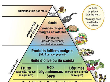Alimentation et Naturopathie