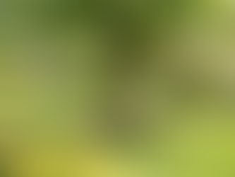 Essential Tips for a Healthy Landscape