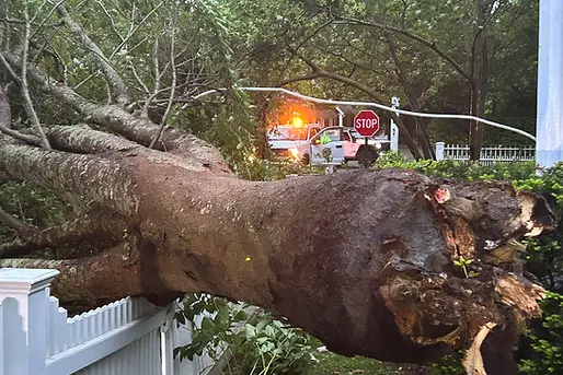Fallen tree with uprooted base blocking street, emergency vehicle with lights in background at a stop sign.