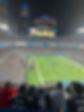 5 Image Panthers Game.jpg