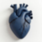 El Corazón Humano