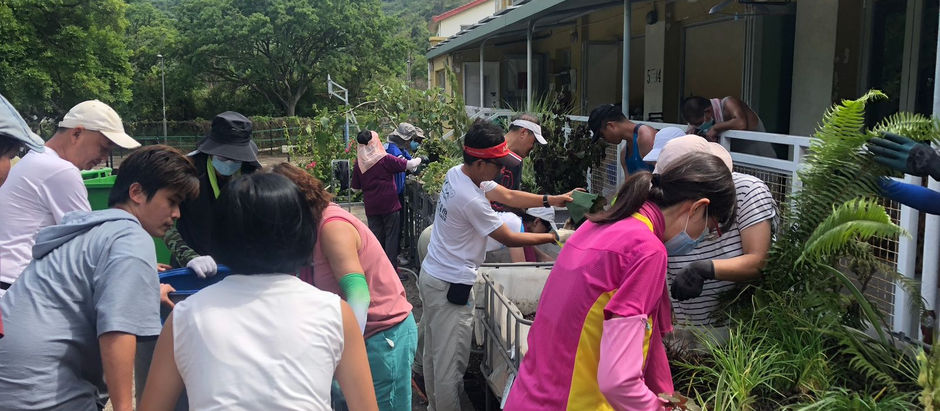 2023大嶼山的簡單漁菜供生系統