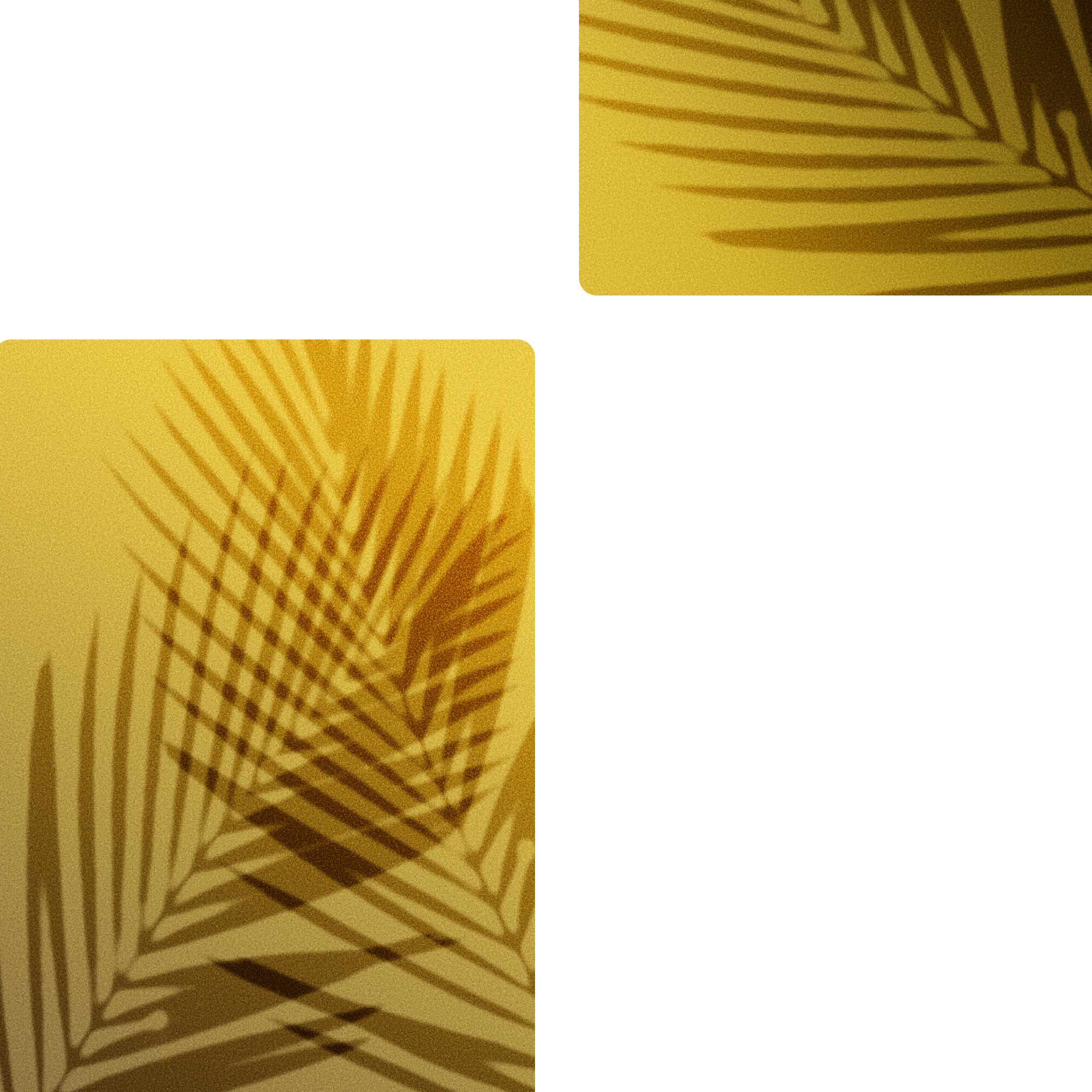 Coffee Morning 2.webp