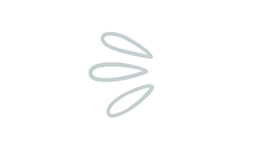 Decorative Graphic element petals