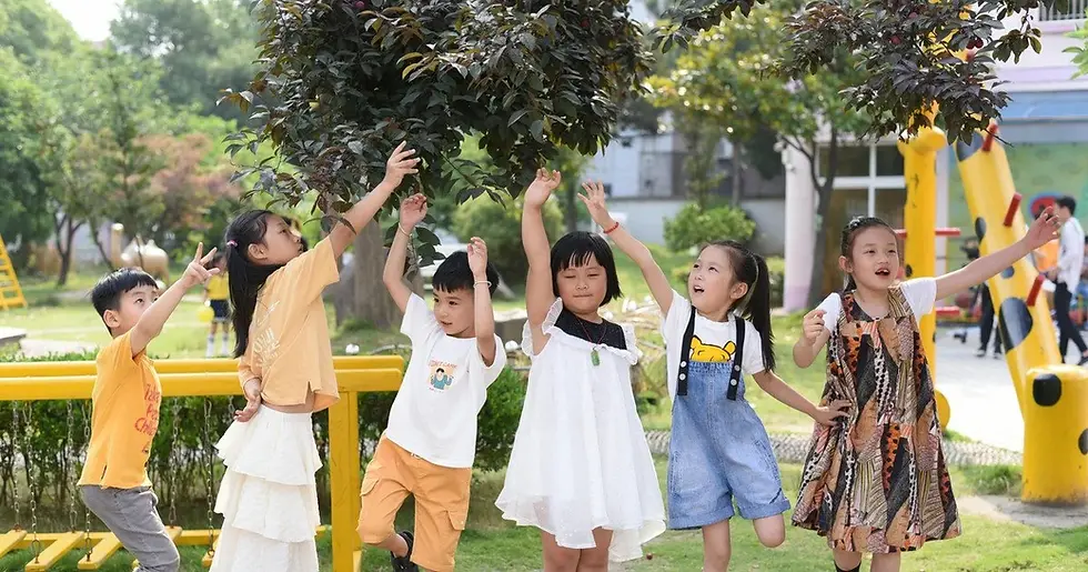 Богатые китайцы создают «непобедимые династии» с помощью суррогатных матерей в США