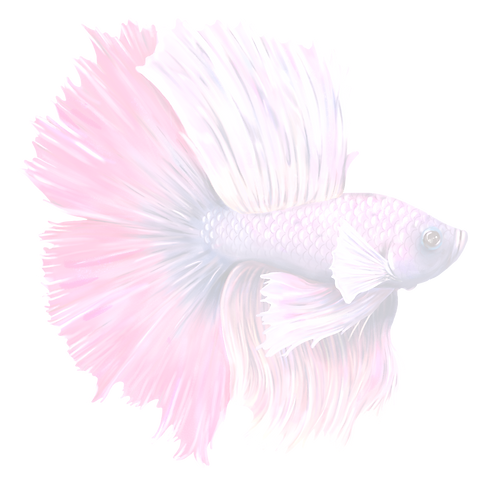 Fish_image-from-rawpixel-id-2330719-png_