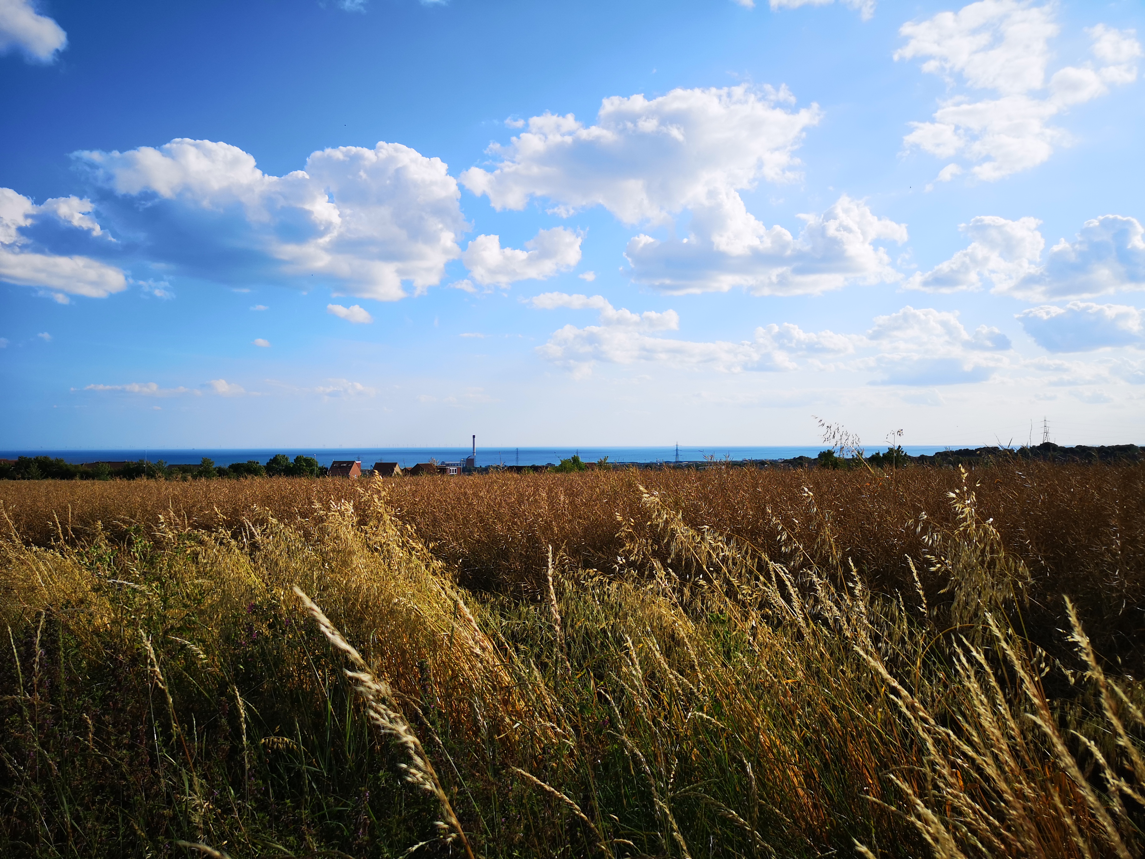 Structural Engineer Near Me TIEMANN & Co Limited Brighton and Hove