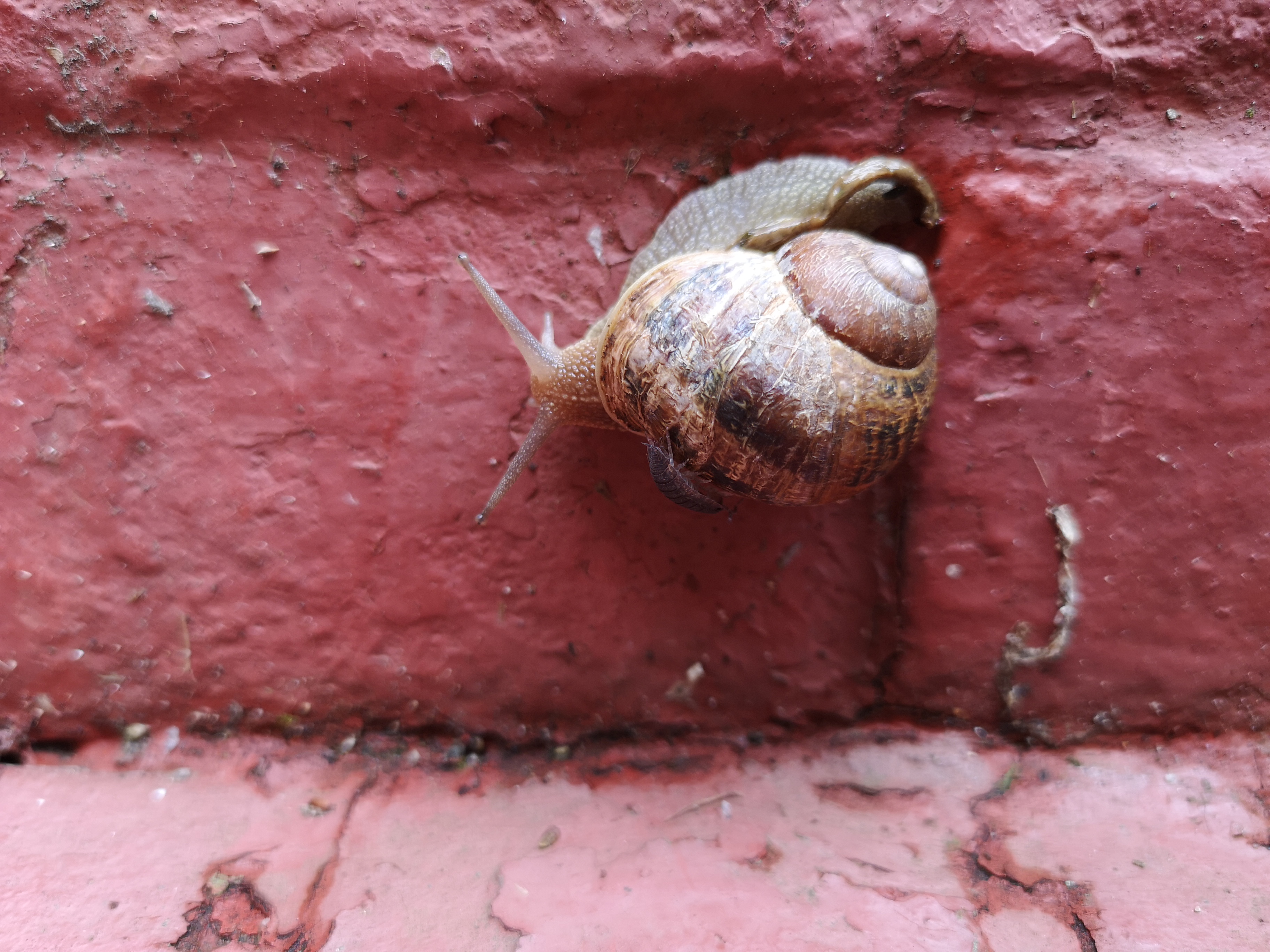 Structural Engineer Near Me TIEMANN & Co Limited Brighton and Hove