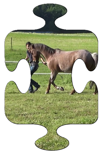 Kopie von HomeSeitequer (3).png